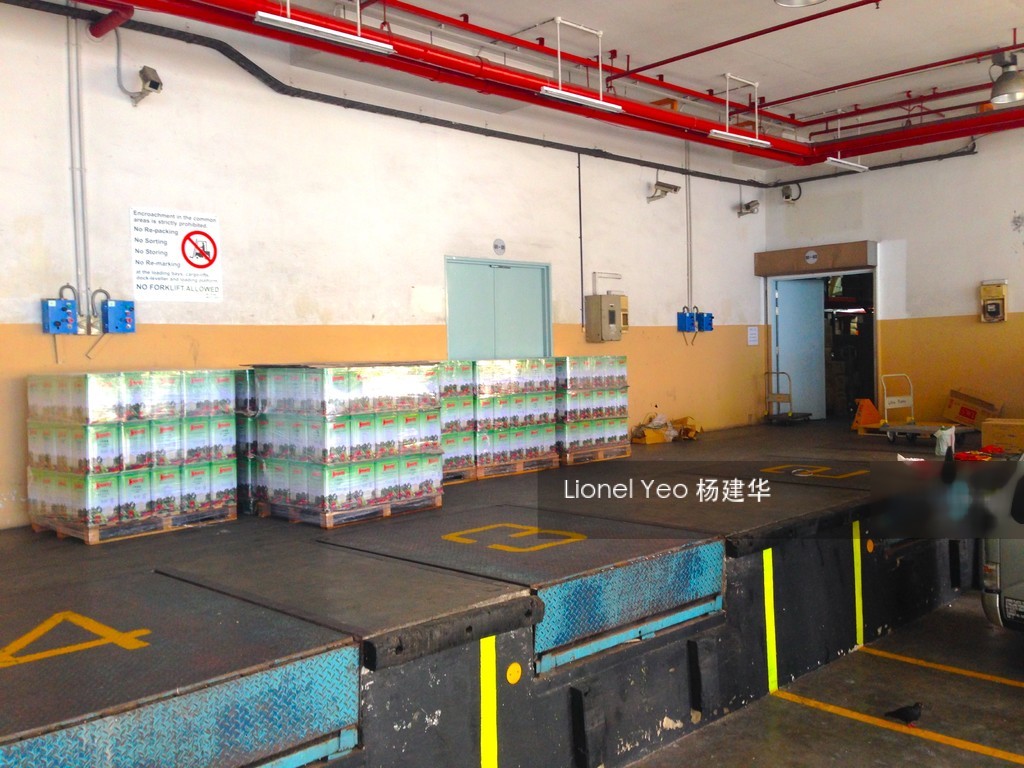 Elite Industrial Building I (D13), Factory #206698511
